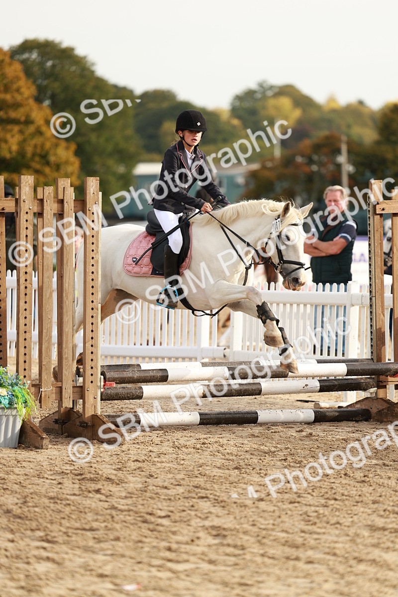 SBM_55672 - J11 - Junior Pony 50cm Championship