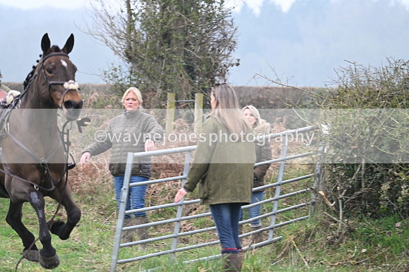 WJ7_0441 - Line 2 cam A