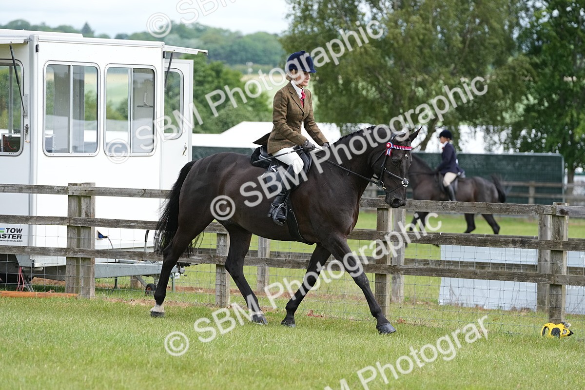 SBM_12913 - Class 99 - RIHS SEIB Working Show Horse