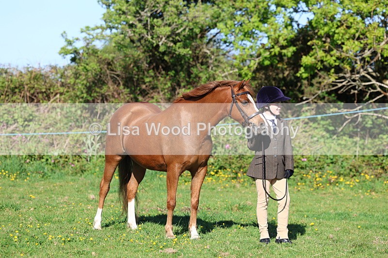 3E7A8424 - Class 12: M & M Small Breeds