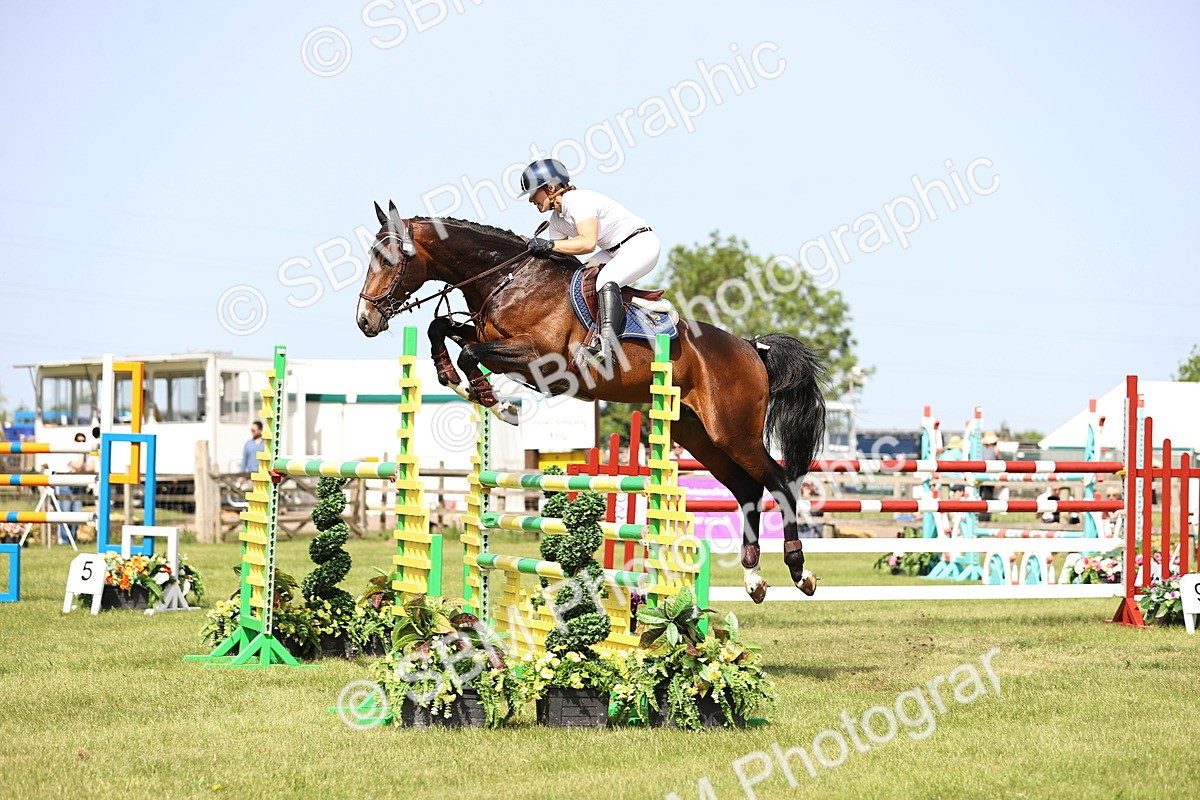 SBM_03018 - Class 201 - British Horse Feedds Speedi Beet HOYS Grade C