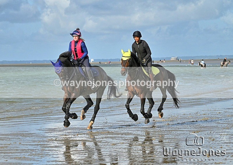 WJ7_4411_1 - Kellie & Churchill ... do Hayling Island 25-08-24