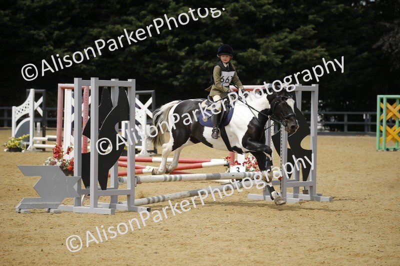 20250622-4754 - 50cm