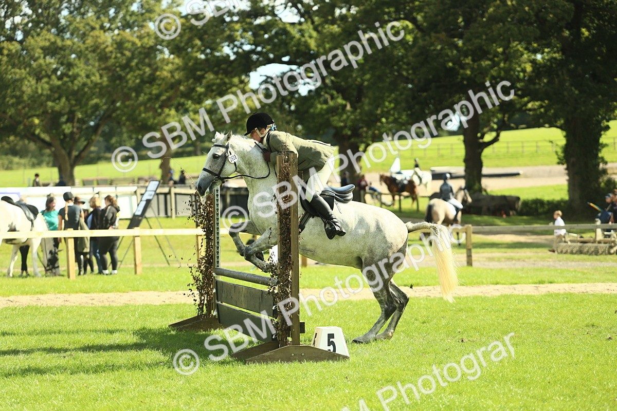 SBM_48073 - S32 - Novice & Newcomers Working Hunter