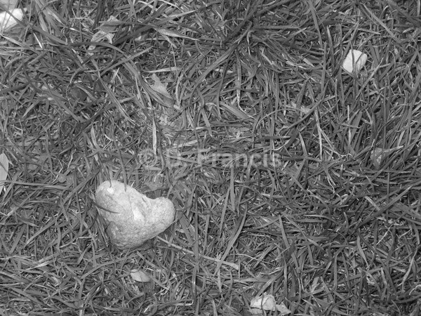 Heart Of Stone (b&w) - Fine Art