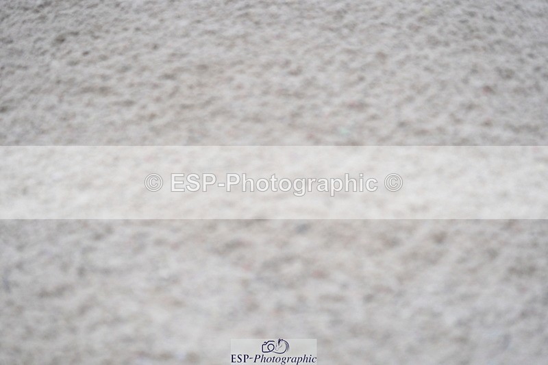 231017A-143950-07412 - Cls 29 Snr Foxhunter