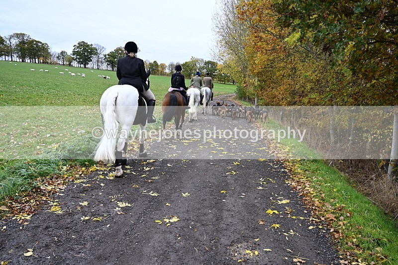 WJ6_9259 - Ride