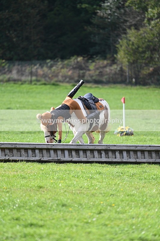 WJ7_3971 - 40cm Time 10:26 to 10:42