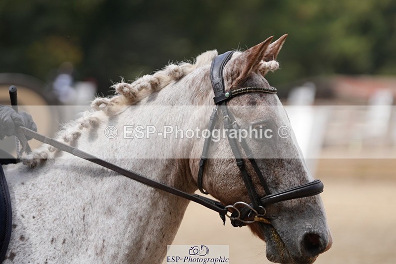 250822A-115857-21232 - WC Round 2 11.10 to 12.20