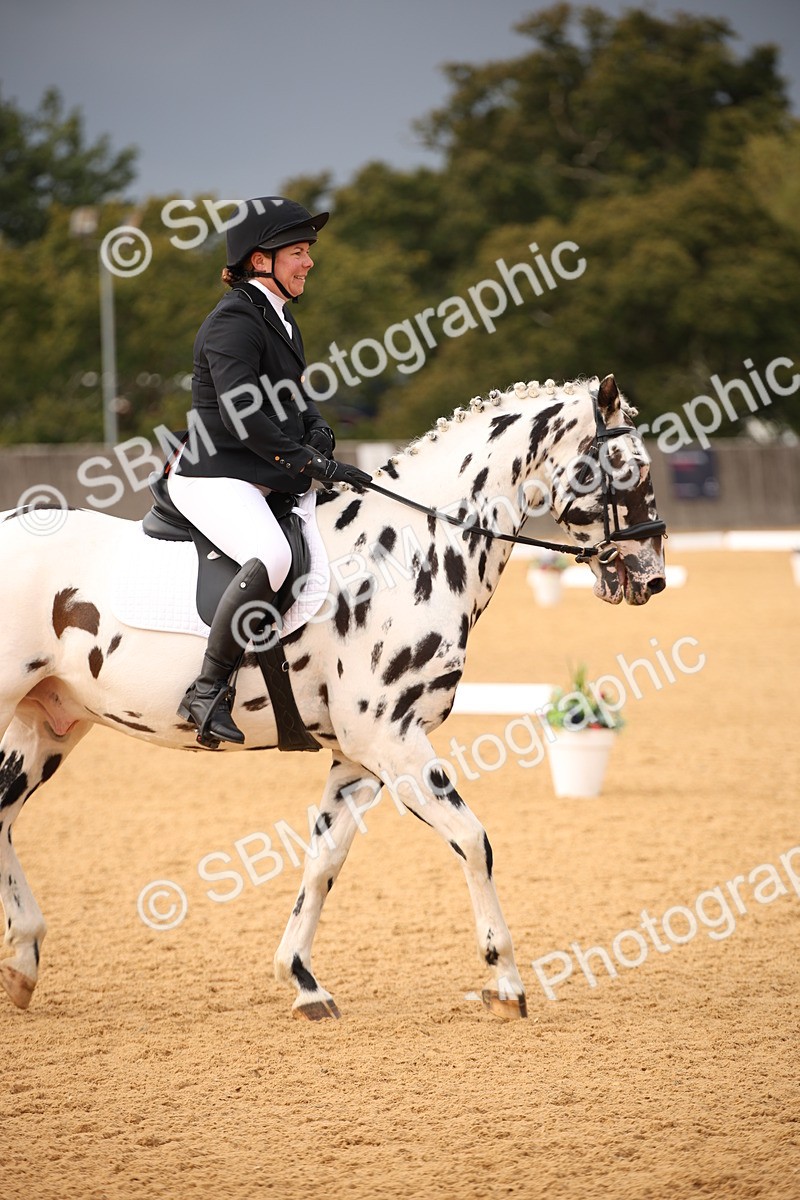 SBM_12302 - D3 Small  Tour Championship Intro A
