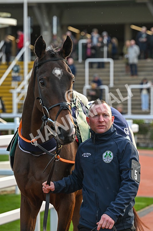 241025-Race 7-Beaufort Scale-5183 - Race 7