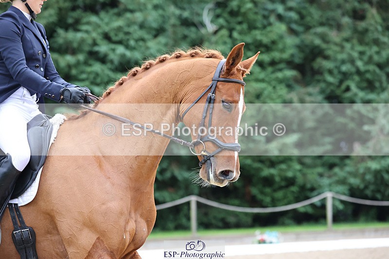 241024-154647-04910 - 240-Lissa.Green-IGOR.G