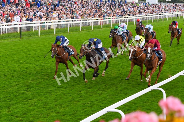 240823-Race 5-Sea Theme-0686 - Race 5 4.10pm British EBF & Sir Henry Cecil Galtres Stakes