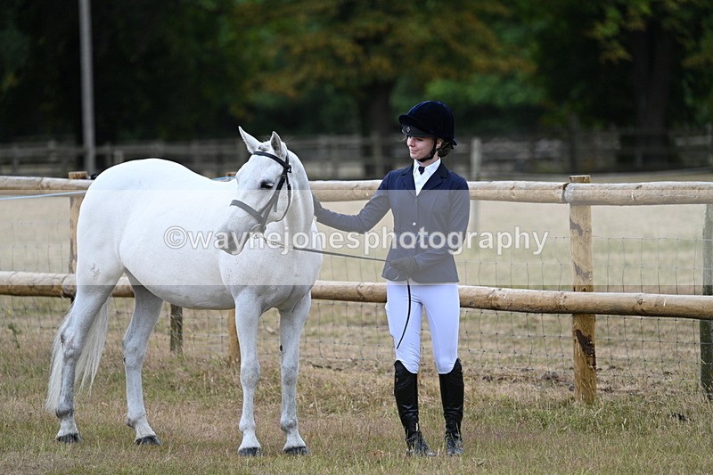 WJ7_8800 - Class 4a Prettiest Mare 14.2hh and over