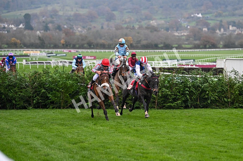 151124-Race 4-Sweet David-8211 - Race 4