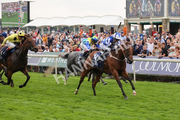 yr20082021r4-97 - Race 4 3.35pm Coolmore Wootton Bassett Nunthorpe Stakes (British Champions Series Race)