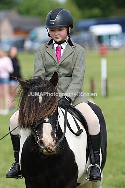 IMG_2395 - Working Hunter
