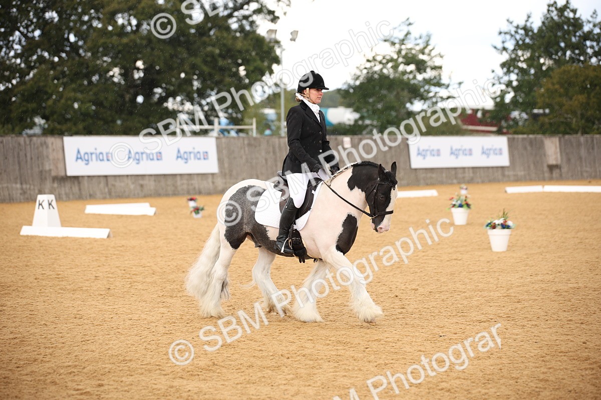 SBM_08921 - D8 Small Tour Championship Prelim 7