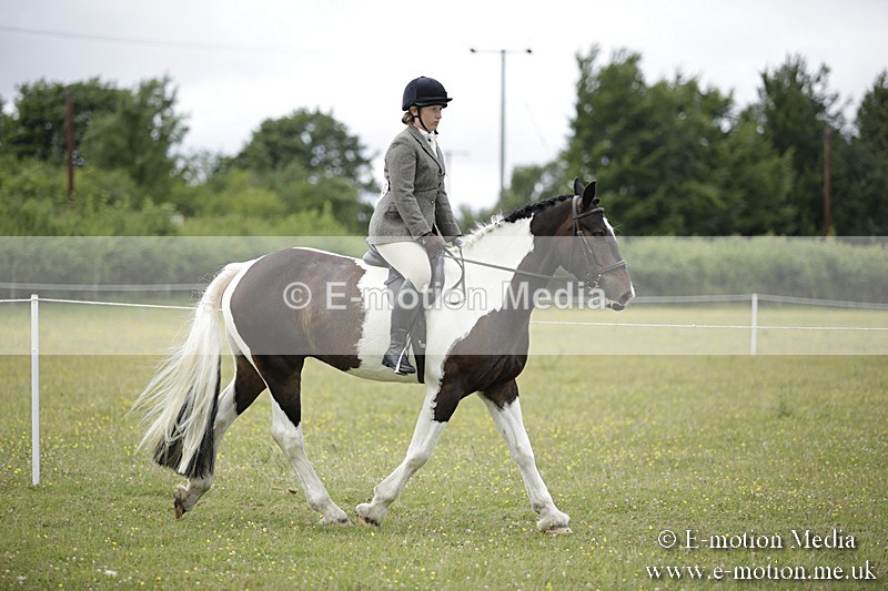 BVR160717-1878 - Ring 1 BVRC Show 16/07/17