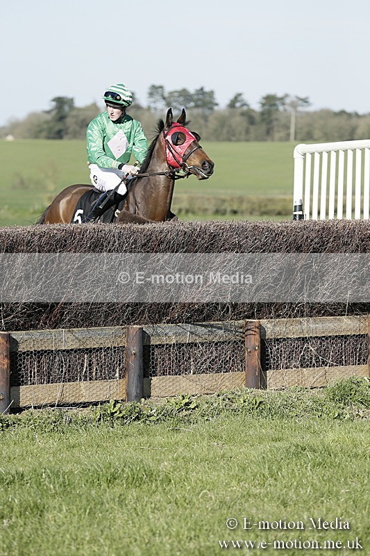 PtP 250317 337 - V.W.H. Hunt Point-to-Point Siddington 25/03/17
