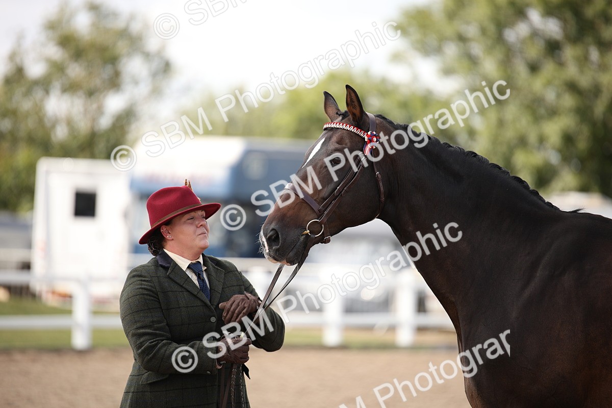 SBM_03787 - Class 19 Judge's Favourite