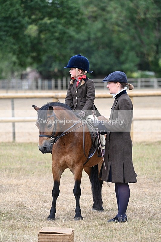 WJ7_6798 - Class 1 Lead Rein Pony