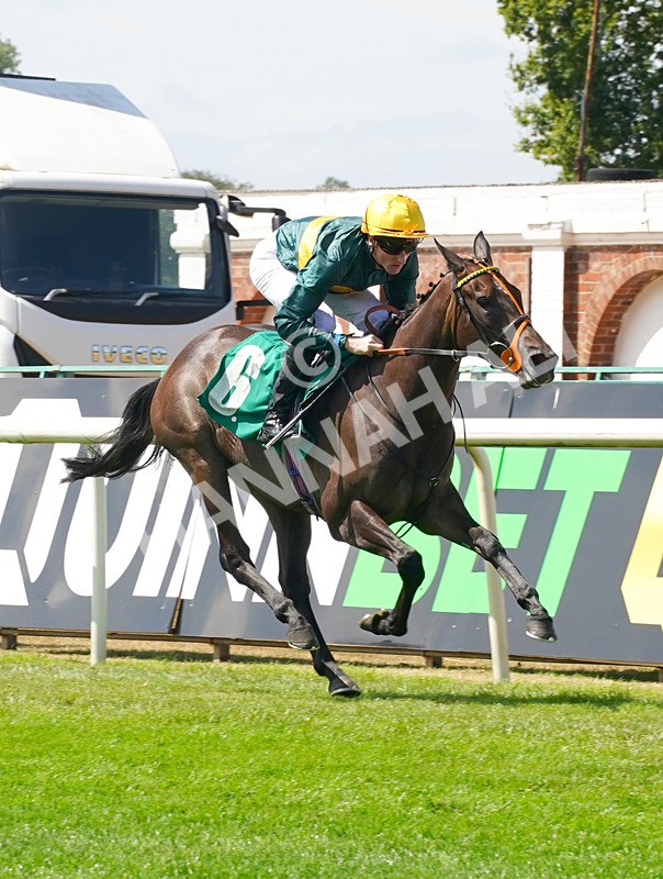 240726-Race 1-Martinet-00954 - Race 1 14.00pm Sky Bet Go-Racing-In-Yorkshire Summer Festival EBF Fillies' Novice Stakes