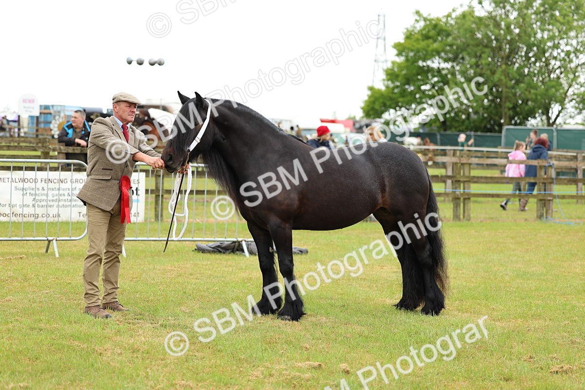 SBM_00565 - Class 58-67 - M&M Non Welsh Pony In hand