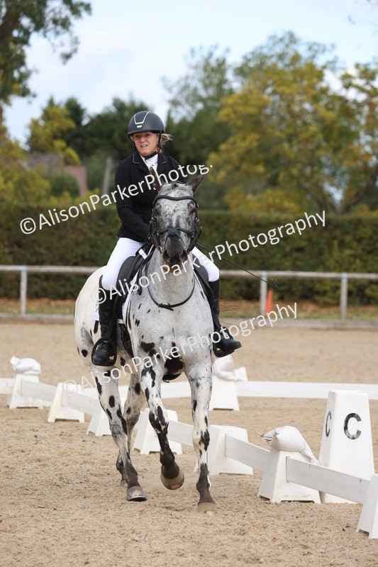 20261010-0702 - Class 6 - Novice 2