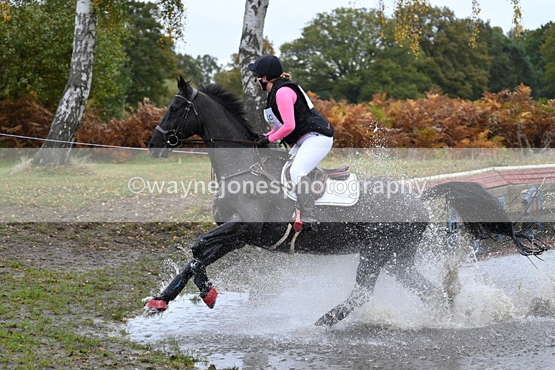 WJ7_2083 - 80cm Cam 2 Pairs Time 12:18 to 12:43