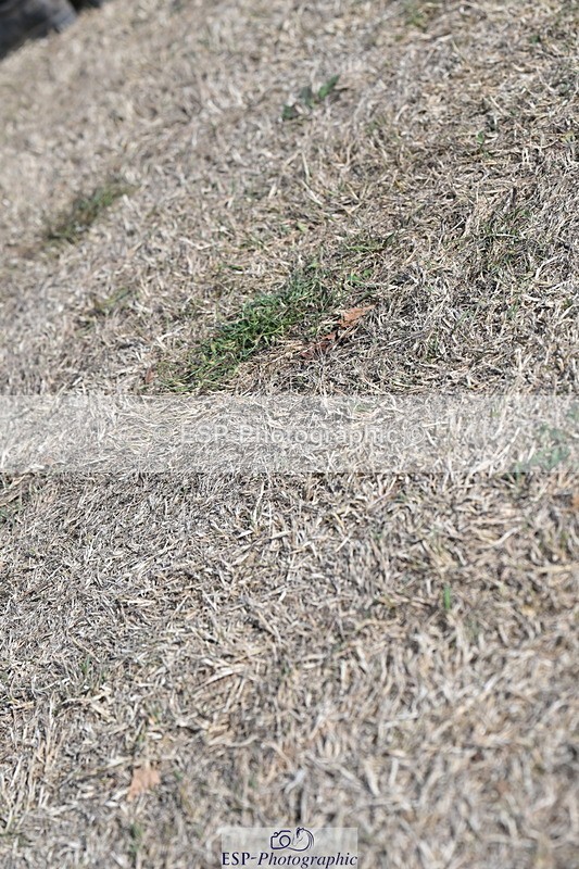 250824A-165435-39773 - PC80 Presentations