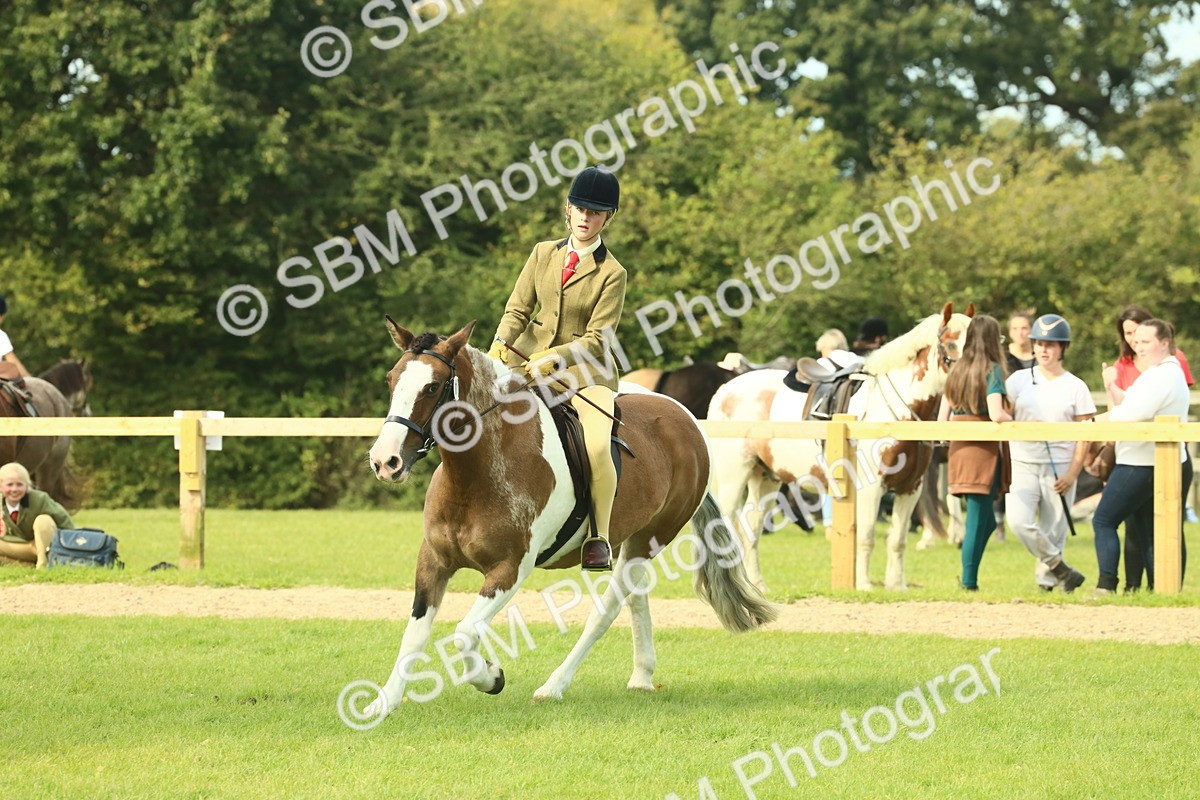 SBM_68122 - S57 - Part Bred Pony Ridden