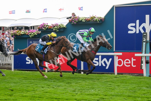 260725-Race 6-Billyb-7910 - Race 6 4.25pm Sky Bet Go-Racing-In-Yorkshire Summer Festival Handicap