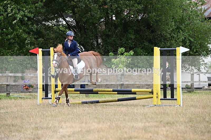 WJ6_0216 - Class 13 Novice Jumping 60cm