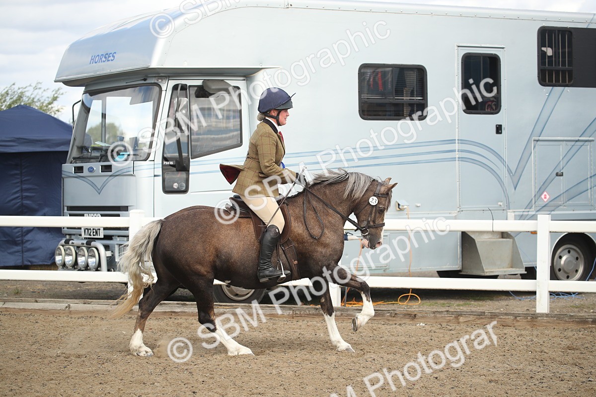 SBM_15196 - Class 505b - M&M Working Veteran - 50cm (20+)