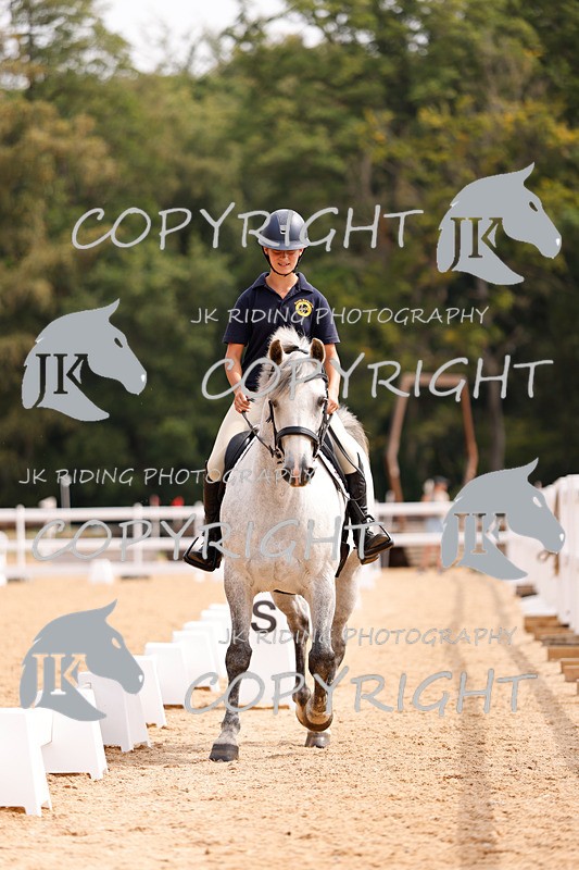 _R6A2743 - Dressage Morning