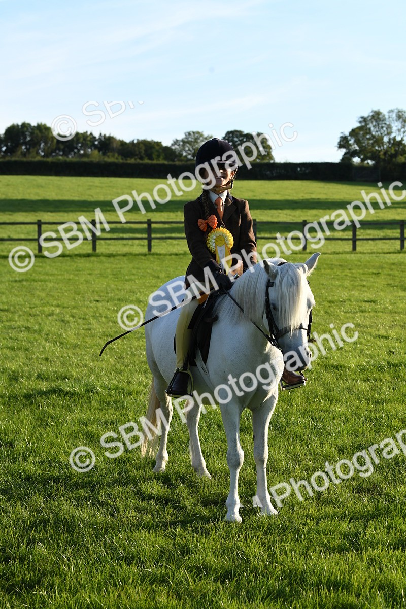 SBM_54187 - S23 - 1st Ridden Mountain & Moorland Pony