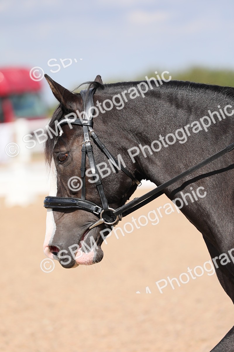 SBM_04175 - Class 31 Prelim 1