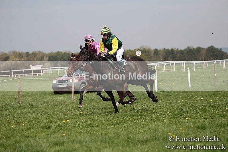 PtP 210418 31 - South & West Wilts Point-to-Point Larkhill 21/04/18