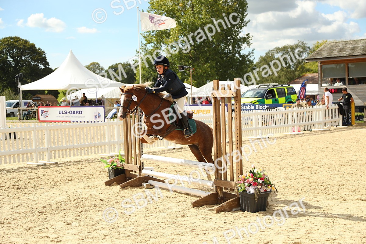 SBM_41381 - J6 - Junior Pony 55cm Championships