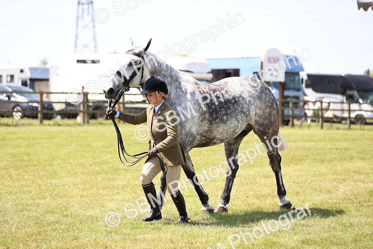 SBM_16164 - Class 79-80 - LIHS BSHA Rising Star Ridden Hunter