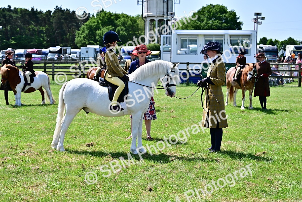SBM_05910 - Class 59-60 - TSR M&M  Lear Rein and First Ridden Amateur of the year