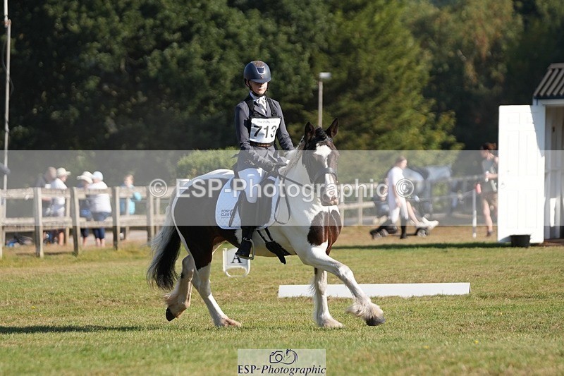 250823A-091338-25647 - Arena A