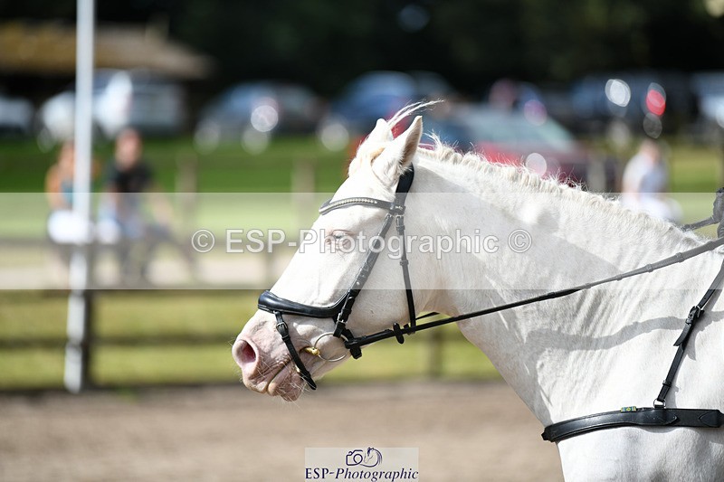 240825X-101940-30951 - 70cm SJ 9.15 to 10.21