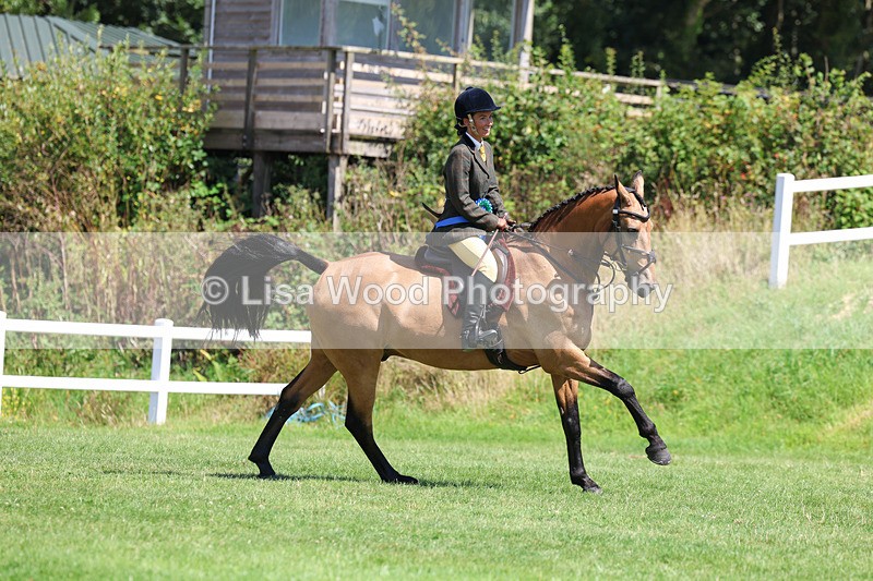 3E7A9149 - Working Hunter Championship