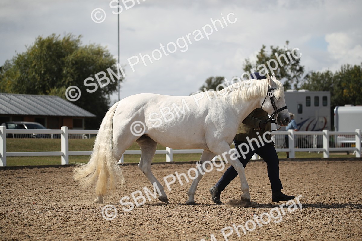 SBM_23097 - Class 606 - 2026 - Area - IH Pre Vet