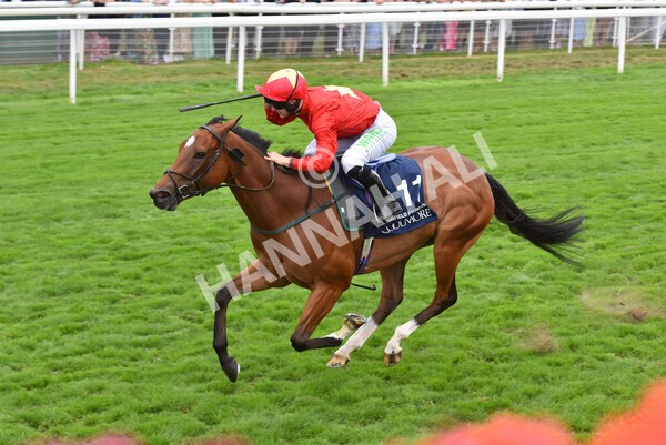 yr19082022r4-83 - Race 4 3.35pm Coolmore Wootton Bassett Nunthorpe Stakes (British Champion Series Race)