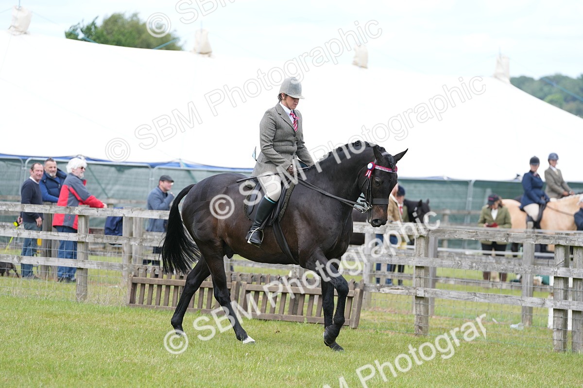 SBM_16163 - Class 105-106 - RIHS Riding Horses