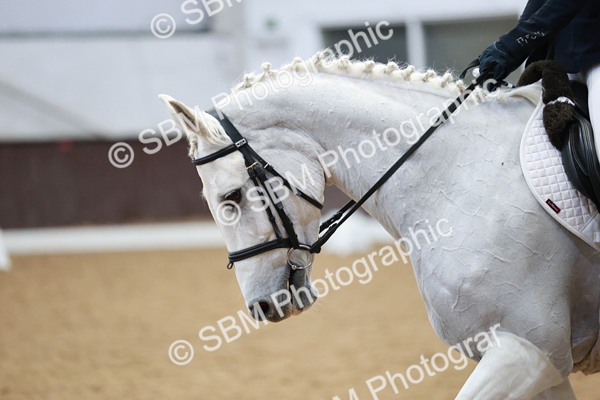 SBM_004347 - Class 2 - Novice 2020