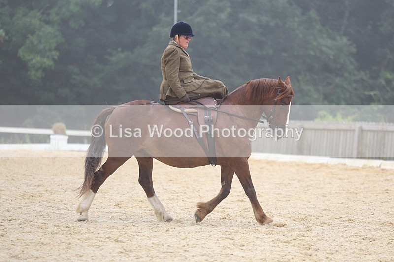 3E7A6910 - Class 5: Prelim to Music